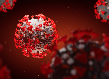 Reuters Fact-Checked the Myth That COVID Vaccine Skipped Animal Trials